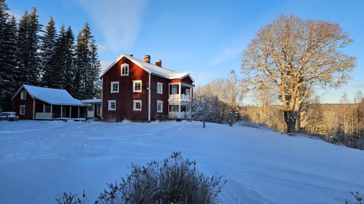 Elisabeth Andenæs Torp