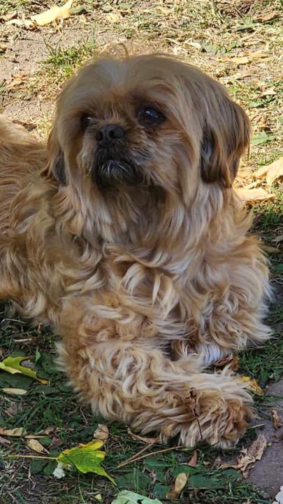 Something to Make You Smile!