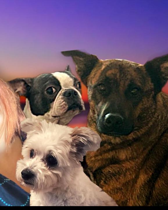 I’ve got three too!!