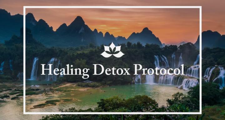 Healing Detox Protocol