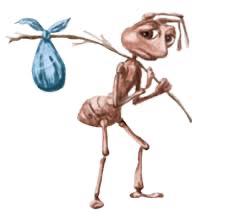 Pete Gomez