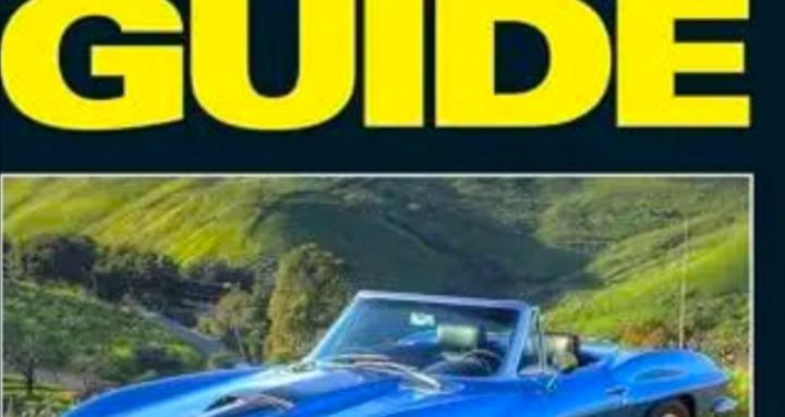 The Aussie Car Flipper