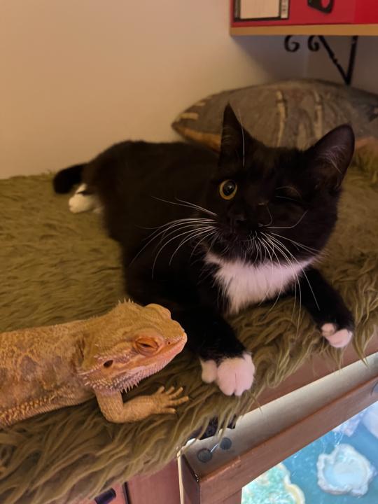 Getting to know you ❤️