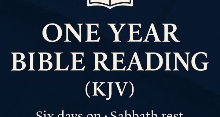 One Year Bible Reading (KJV)