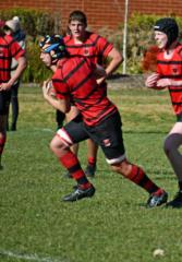Rory Arneman