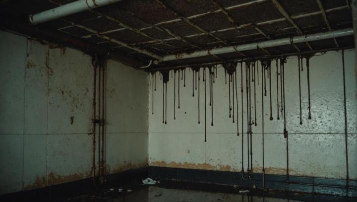 Emergency Water Damage Company in Cowgill, MO