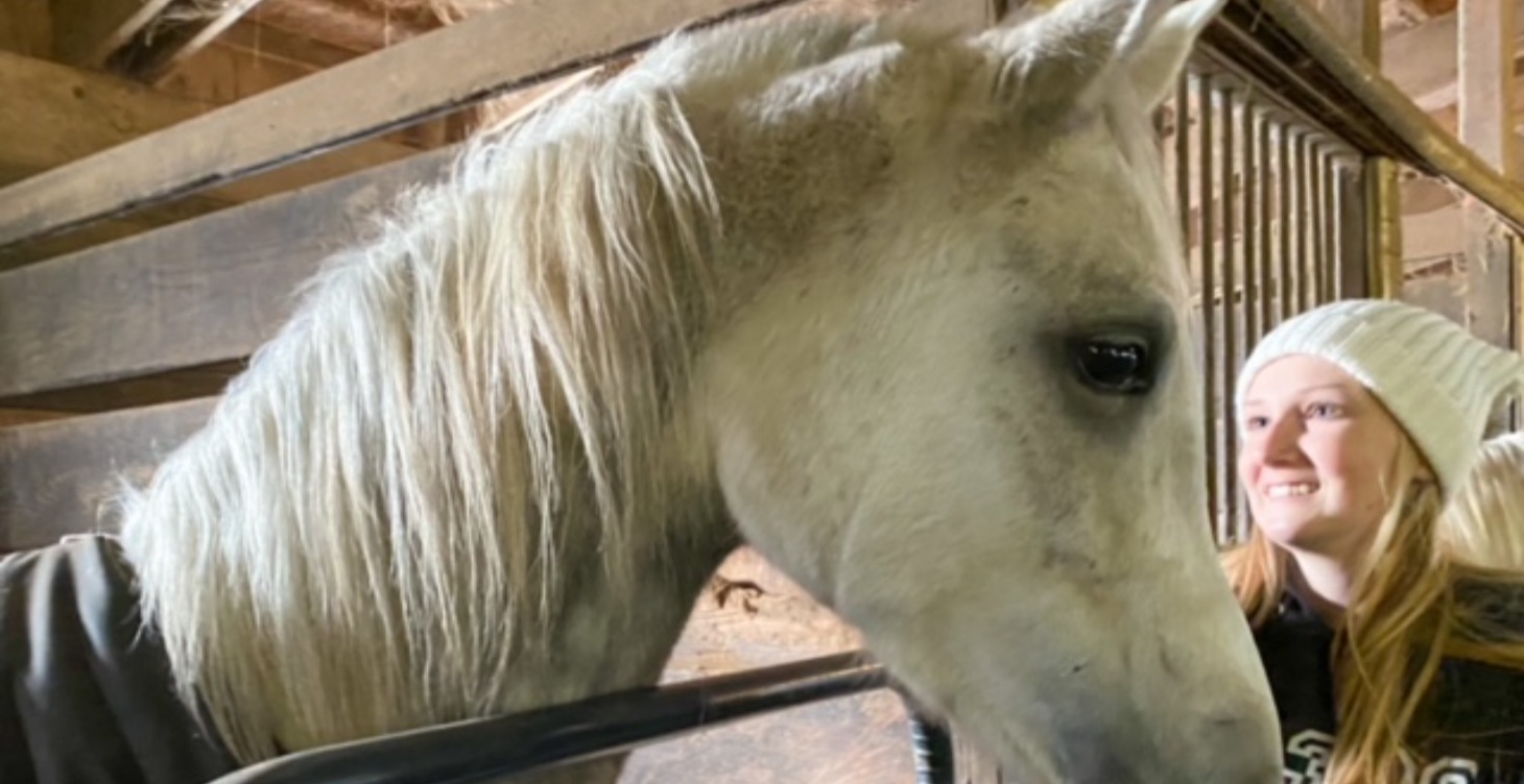 Horses Are The Ultimate Life Coach