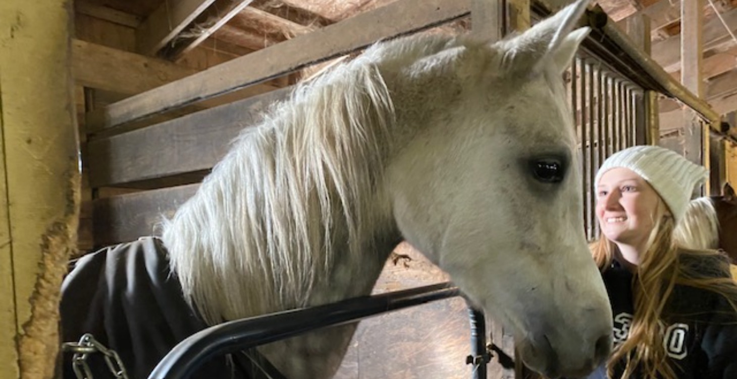 Equine Alchemy for Personal Growth