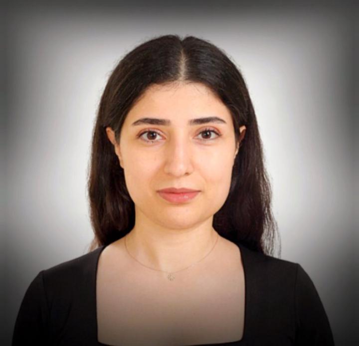 Dicle Akin