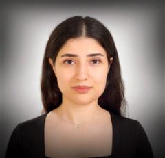 Dicle Akin