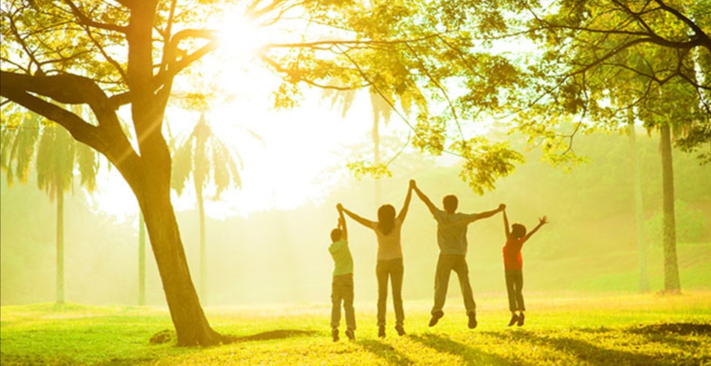 Cuộc sống hoàn hảo