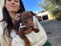 María Belén Almada torello