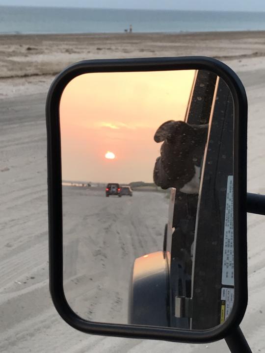 Rebel Remedy: For When You Feel Behind in Life