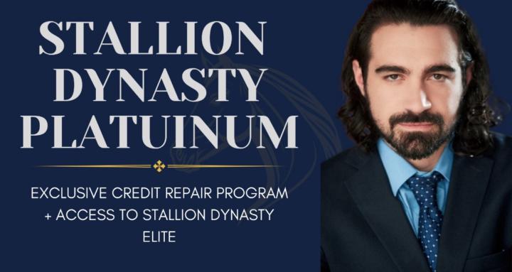 Stallion Dynasty Platinum