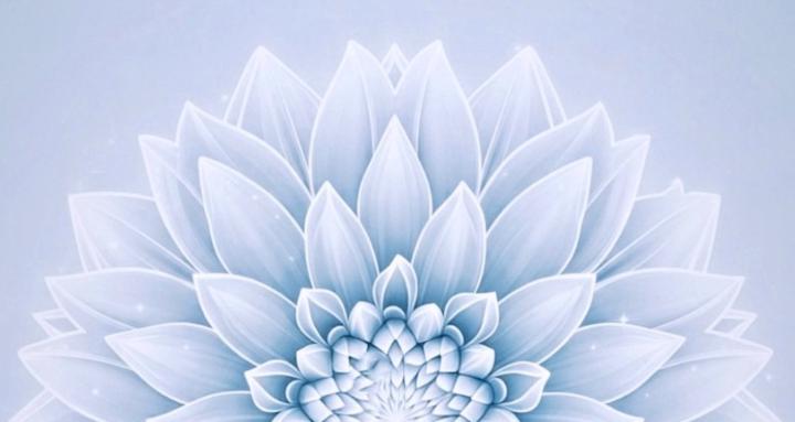 ✨ Focus into Alignment ✨