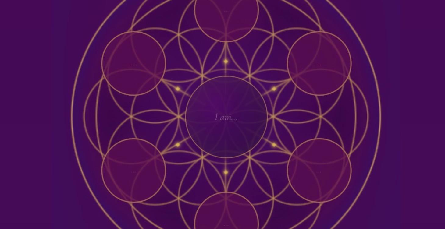 Focus Wheel