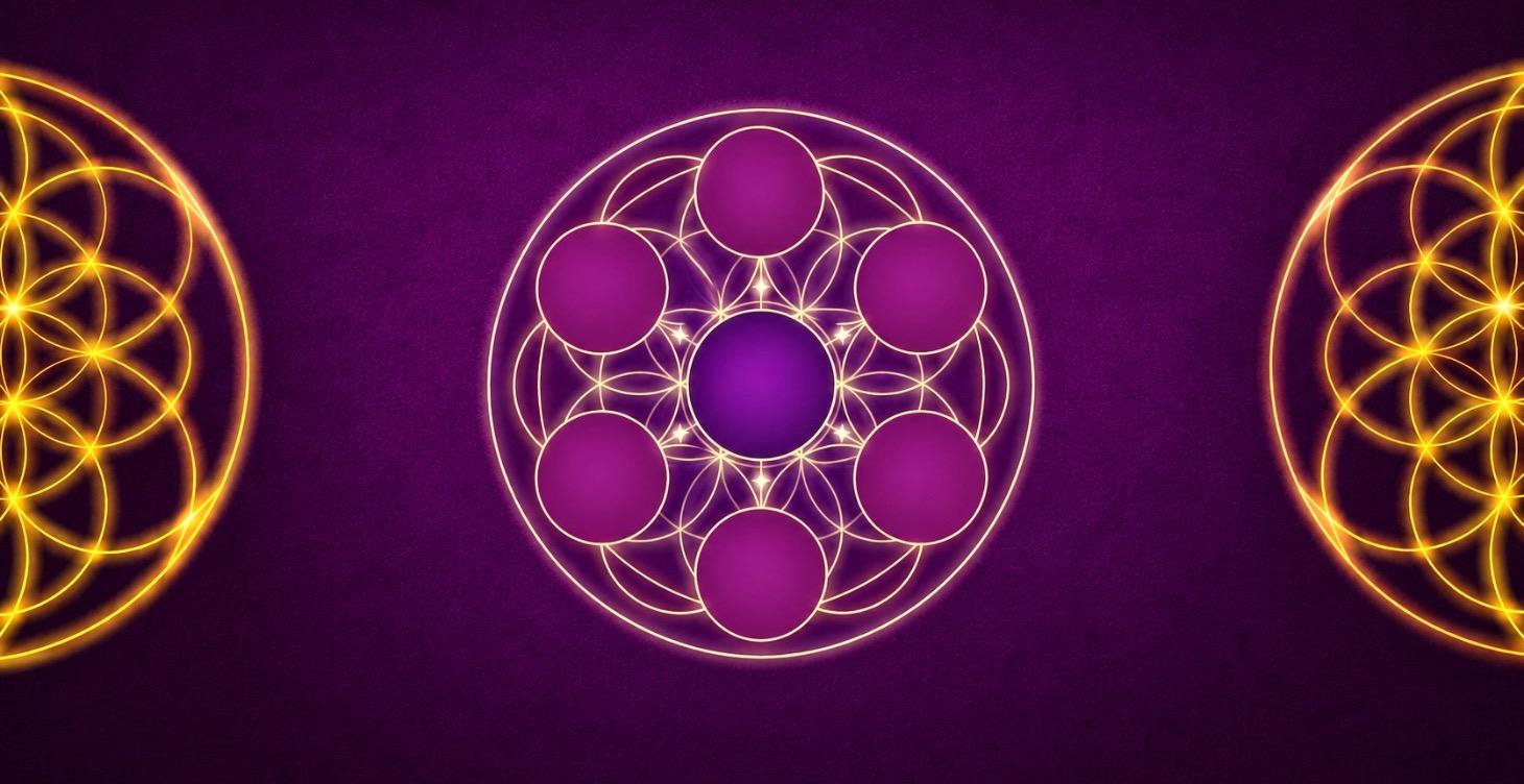 The Focus Wheel ✦