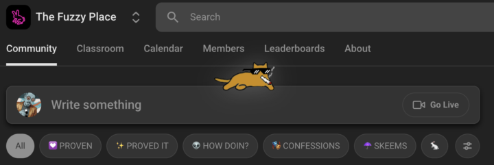 NEW CATEGORIES!
