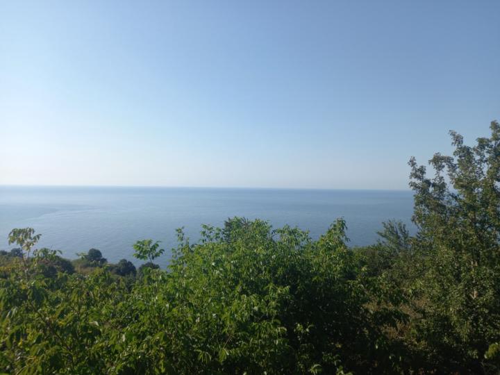 Fatmanur Beyza Çelebi