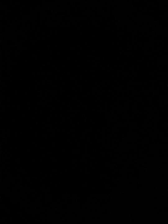 Àlex Perles Roselló