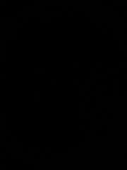 Àlex Perles Roselló