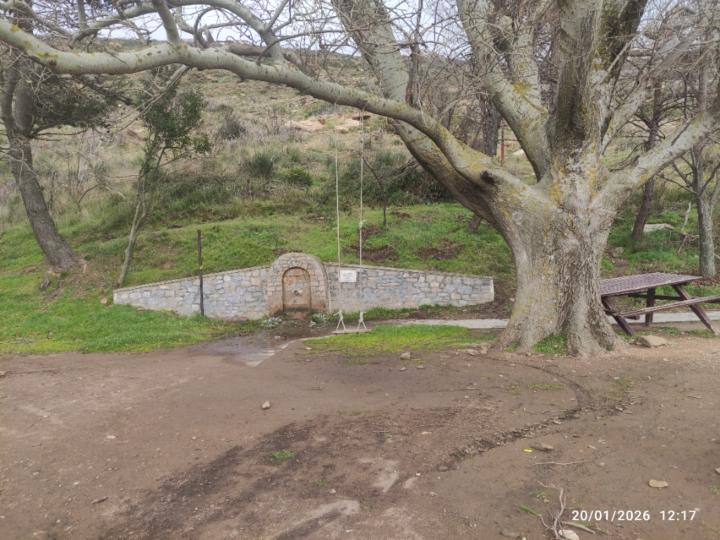 Konstantina Kalliakoudi