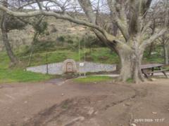 Konstantina Kalliakoudi