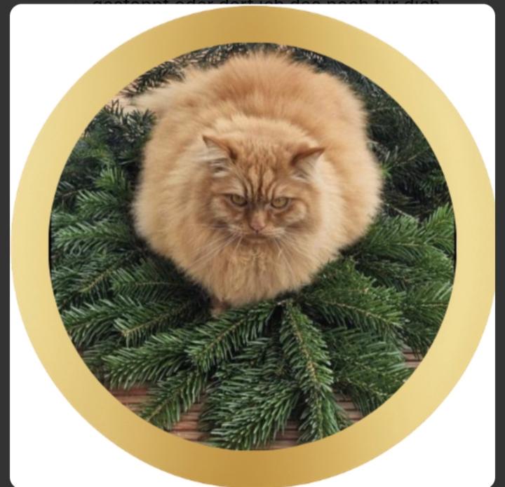 Monika Leschhorn-Becker