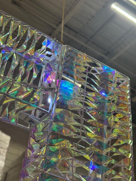 Francesca Travagliante