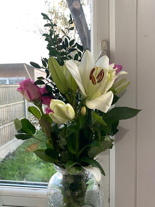 What are you planting?