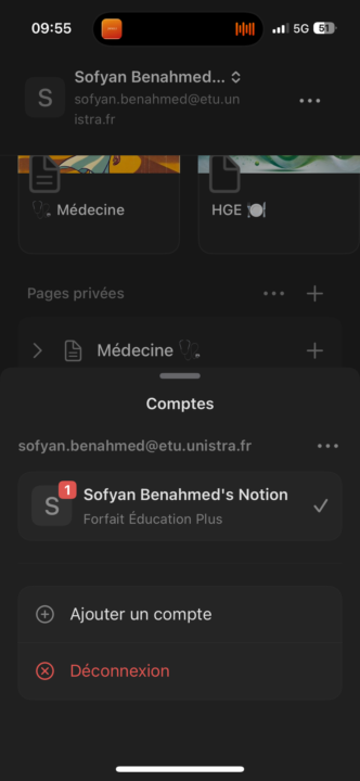 Notion pro 