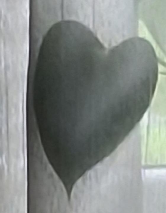 Andreja Šopar-Pilić