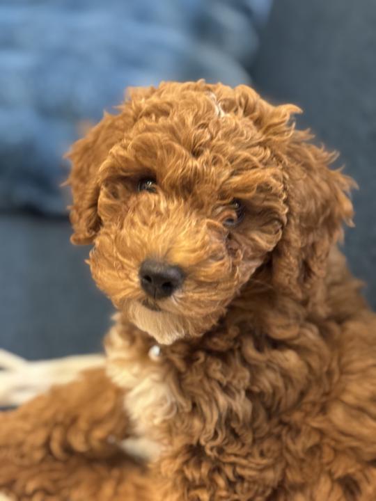 Hungry to get into it all (like c'mon universe)