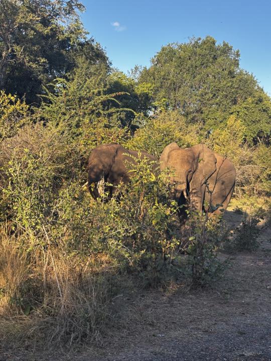 Greetings from Africa! 