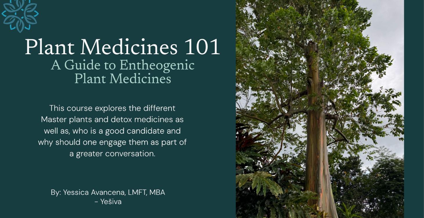 Plant Medicine 101- A Guide to Entheogens
