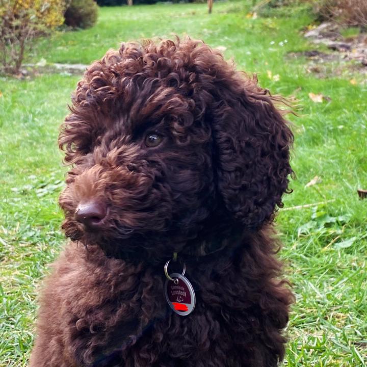 Christina Allerheiligen