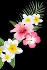 Marcia Watts