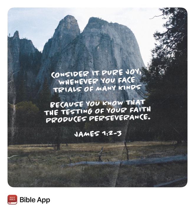 Quit protecting yourself and pursue the challenge. 