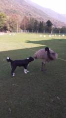 Antonella Di Terlizzi