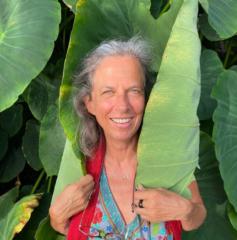 Hilde Kestier