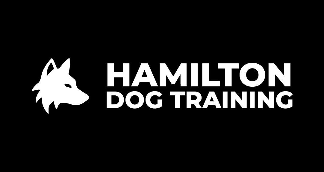 Hamilton dog training