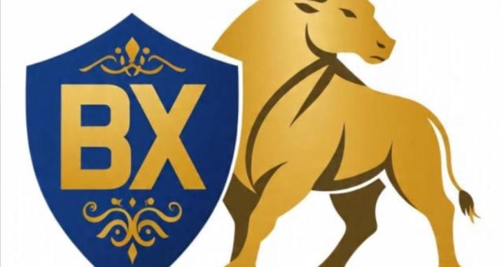 Brucy.x trading.c.p.p