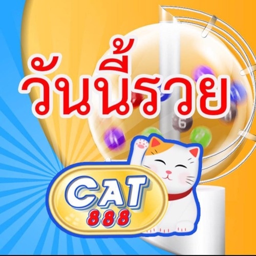 Cat Codes