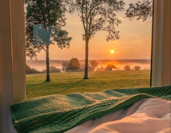 عائشه الرحيمي