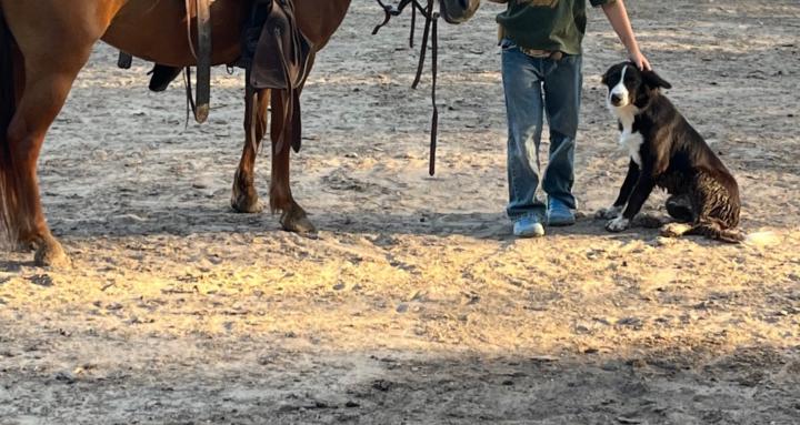 Horseback Riding With Lex