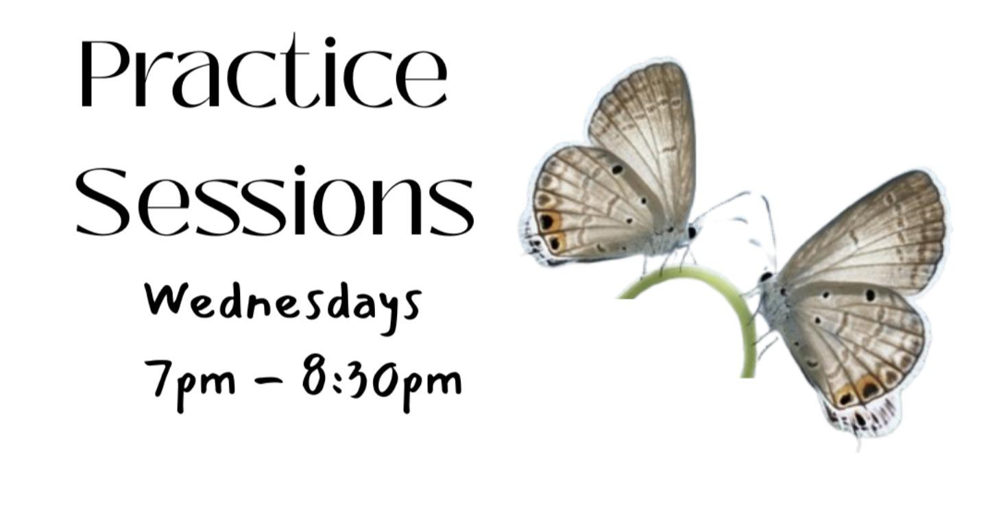 Weekly Practice Sessions