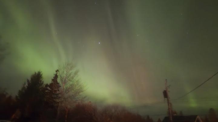 Northern lightd