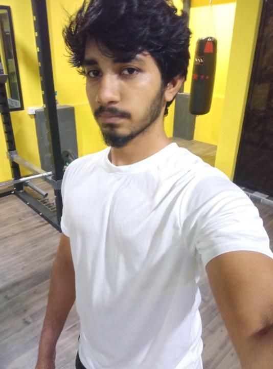 Sharan V