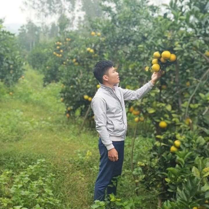 Hà Nguyễn