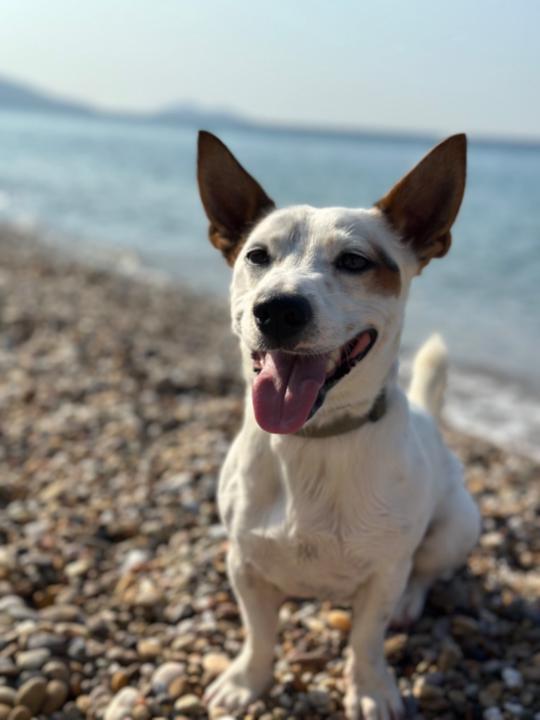 Μαρια Γιουρου